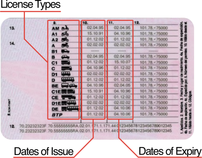 campos del carnet de conducir