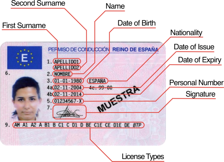 campos del carnet de conducir